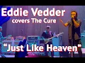 Download Lagu Eddie Vedder covers \