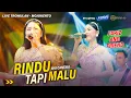 Download Lagu RINDU TAPI MALU - Ayu Cantika Ft FARIZ AND FRIEND Live Trowulan - Mojokerto || OFFICIAL MUSIC VIDEO