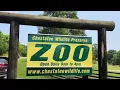 Chestatee Wildlife Preserve Zoo Ga USA