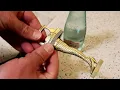 A Christmas Story Leg Lamp Bottle Opener Gadget Review