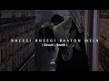 Lagu Bheegi Bheegi Raaton Mein ( Slowed + Reverb ) Romantic Lofi Mix || SHEKHARR
