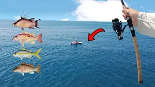 BEST Bait For Catching Any Type of SNAPPER