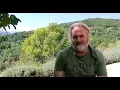 Invito alla passeggiata sull'Altopiano delle Montagnole (Recoaro Mille - Recoaro Terme VI)