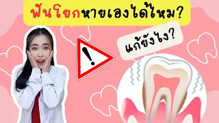  ฟันโยกได้ไหมที่จะกลับมาแน่นอีกครั้ง  