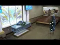 Mercer Bros Live Stream