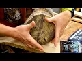 Understanding Wood Movement and How to Plan for it