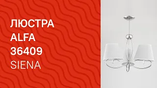 YouTube video preview OG02U3rG2DE