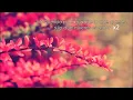 Feed Me & Crystal Fighters - Love Is All I Got ( subtitulada en español )