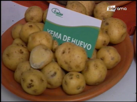 Ecuador Agropecuario 25-07-2017