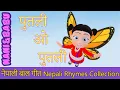 Putali पुतली ओ पुतली Butterfly Song | Nepali Rhymes Collection | लोक प्रिय नेपाली बाल गीत