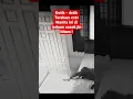 Download Lagu Terekam Cctv Detik - detik Seorang Wanita di terkam sosok bayangan hitam ! #shorts