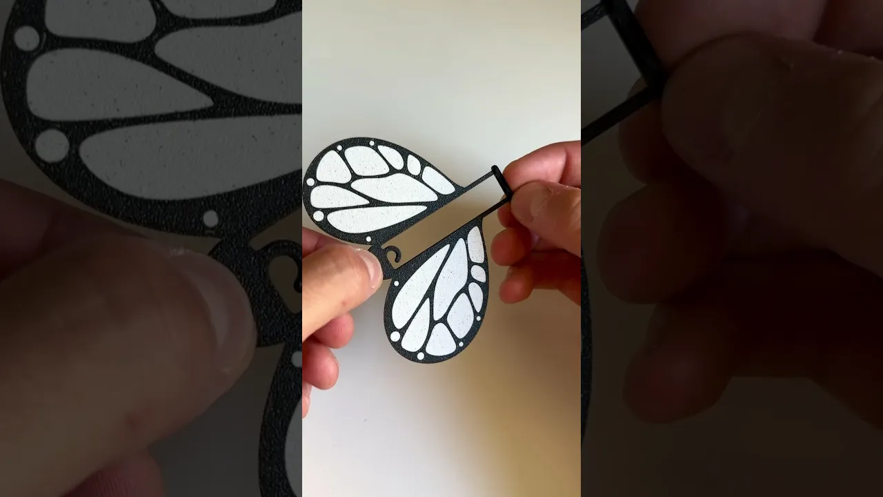 Monarch, flying butterfly. video thumbnail