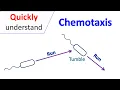 Chemotaxis