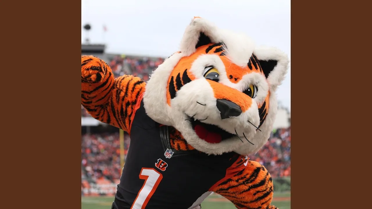 Who Dey Bengals Ho Hey II Who Dey Bengals Ho Hey II