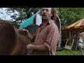 35 Years Off-Grid & Thousands of Miles by Horse-Drawn Caravan | Wanderlusts