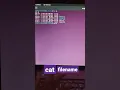 use the Cat command in Linux