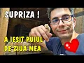 Download Lagu Viața la țară - Surpriză de ziua mea! A ieșit încă un pui de fazan