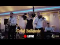 Download Lagu Andrada Barsauan si Formatia - Colaj Balkanic LIVE ZIUA FEMEII 2025