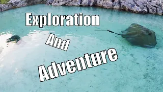 Berry Island Adventures | Sailing Wisdom Ep 118