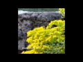 Download Lagu 1 Hour Yiruma -  Kiss the Rain