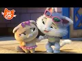 Download Lagu 44 Cats | PILOU The Super-Brave! 💖 Compilation to Overcome Every Fear!