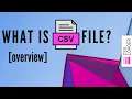 What is CSV file overview