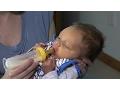 Paced Bottle Feeding