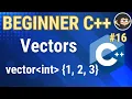 C Vectors and Dynamic Arrays