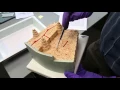 Microscopic Anatomy Compact Bone