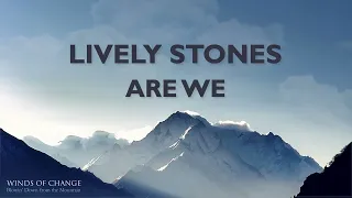 lively stones lyric video john healy lively stone music winds of change remastered