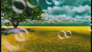 سارية السواس صرخة وجع 