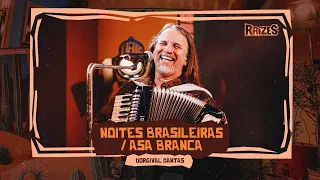 NOITES BRASILEIRAS / ASA BRANCA - Dorgival Dantas (DVD Raízes)