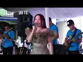 Download Lagu ( VIRAL ) JANDA PIRANG \