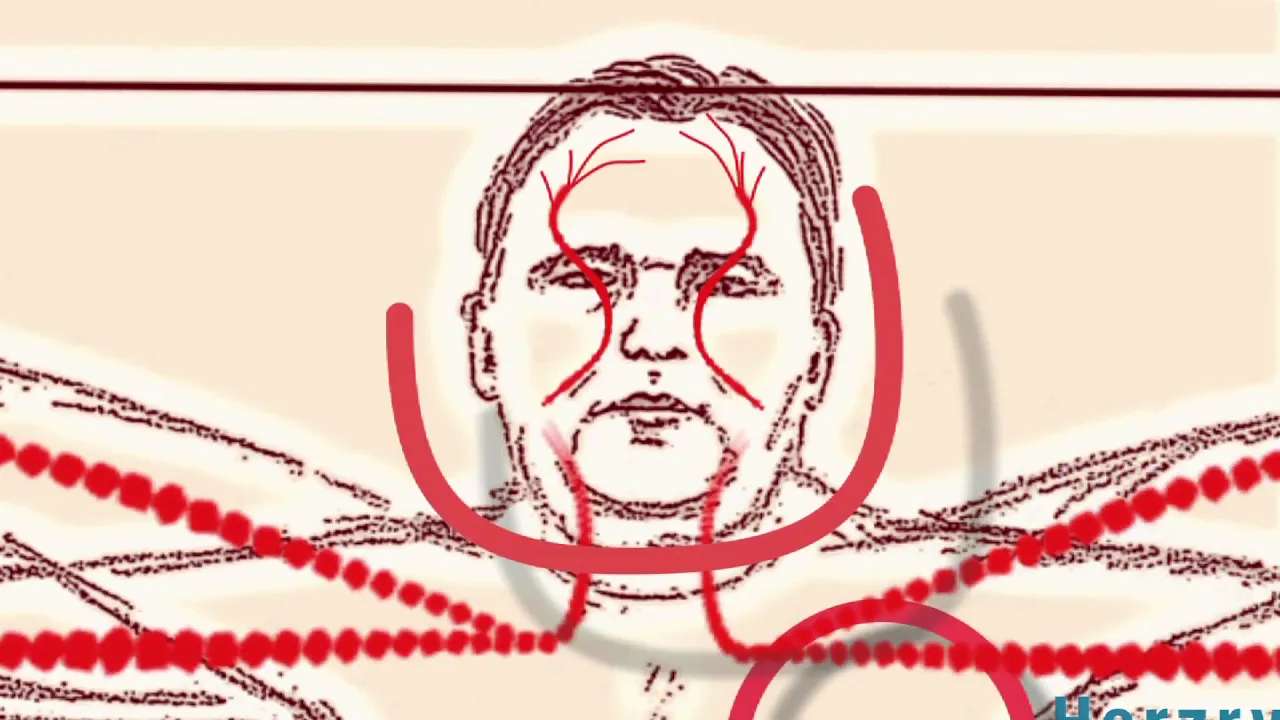 2 Bluthochdruck - Folgen des Bluthochdruck