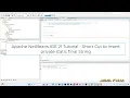 Apache NetBeans IDE 21 Tutorial - Short Cut to insert private static final String