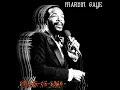 Marvin Gaye - "T" Plays It Cool (2025 Remaster)