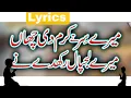 Lagu mere sir te karam di chan || Main panjtan paak da  naukar || Naat Lyrics || Peaceful Voice