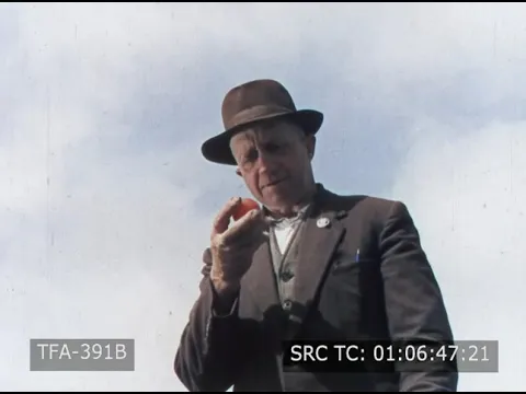 Jersey (1960s)