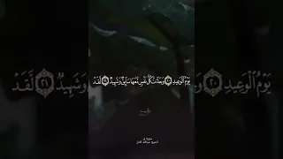 ولقد خلقنا الإنسان ونعلم ما توسوس به نفسه ۖ ونحن أقرب إليه من حبل الوريد دندنها