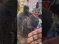 How to install sister locks micro locks Beginner Guide tutorial