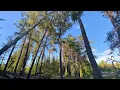 Honeymoon Bluff Hike Gunflint Trail Superior National Forest Near BWCA