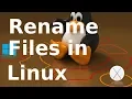 Rename multiple files in Linux - Ubuntu