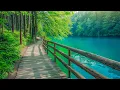 Download Lagu Beautiful Relaxing Music - Stop Overthinking, Stress Relief Music, Sleep Music, Calming Music #110