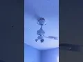 iphone ringtone with ceiling fan going crazy 🤣#ceilingfan #shorts #crazy #ringtone