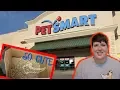 ADOPTING A BLIND HAMSTER FROM PETSMART