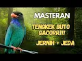 Download Lagu MASTERAN TENGKEK BUTO GACOR SUARA JERNIH SPEED RAPAT +JEDA