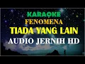 Download Lagu FENOMENA-TIADA YANG LAIN KARAOKE NO VOCAL HD AUDIO JERNIH