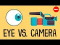 Camera or eye Which sees better - Michael Mauser