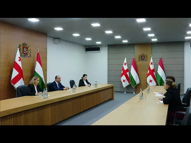 შინაგან საქმეთა მინისტრმა საქართველოში უნგრეთის საგანგებო და სრულუფლებიან ელჩთან შეხვედრა გამართა