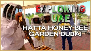 you must know before visiting hatta honey bee garden dubai 2022 where to go in hatta dubai vlog 12